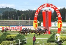 The Committee is dedicated to the advancement of horse racing in Malaysia and will do its best to further the interests of our stakeholders which include the government, ordinary members, employees, owners, trainers, riders and followers of our racing globally.”