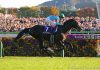 Superstar Equinox returns in the Group 1 Japan Cup at Tokyo on Sunday.