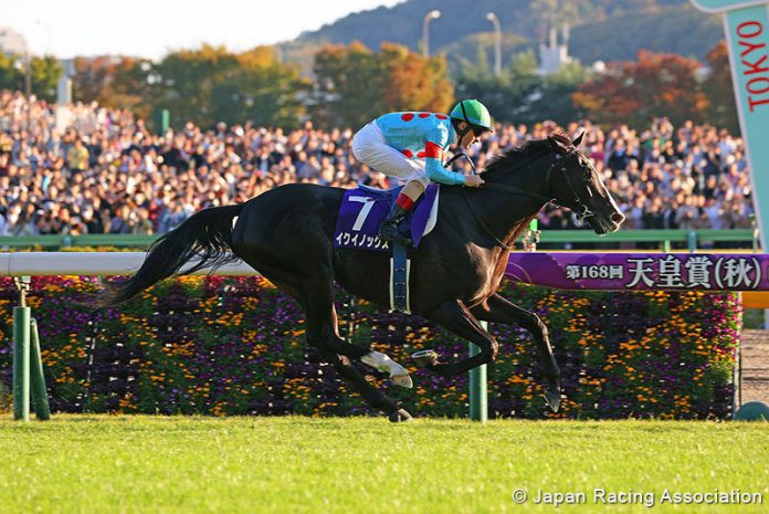 Equinox_2023-Tenno-Sho-Autumn_JRA-photo Superstar Equinox returns in the Group 1 Japan Cup at Tokyo on Sunday.
