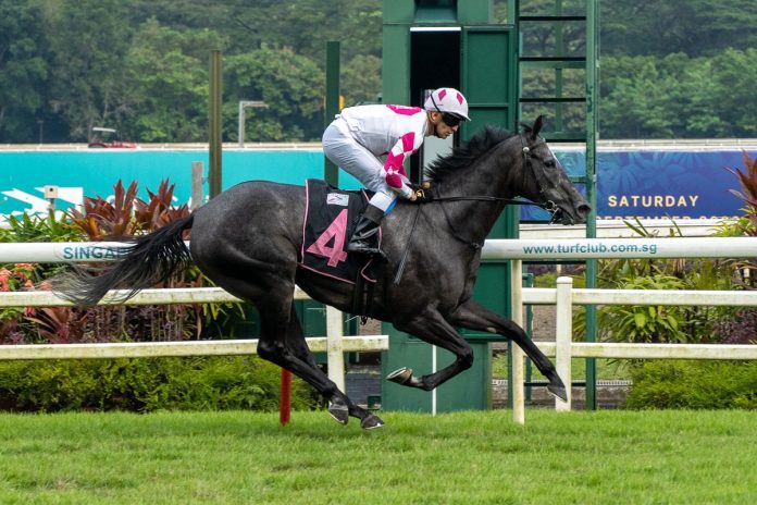 F6tMY5FaUAAYuue King Of Sixty-One is well relishes the longer races at Kranji.