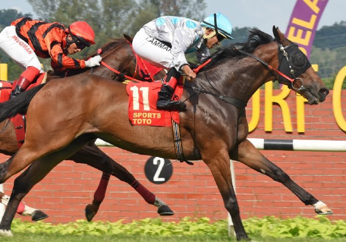 Good Fight Good Fight is in the form of his life and looks poised to continue his winning way.