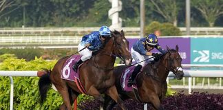 Lim's Kosciuszko (Marc Lerner, on the inside) beats off a strong challenge from Dream Alliance (Bruno Queiroz) in the Group 1 Singapore Gold Cup.