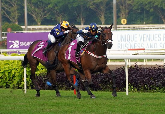 Lim's Kosciuszko will head to line-up in the G1 Hong Kong Mile against the world's best.