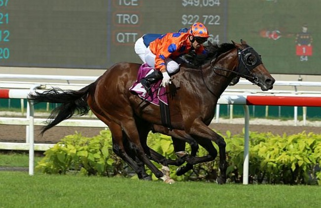 Relentless-260622 Relentless seen here sprinting past Lim's Kosciuszko (obscured) to win the Group 2 Stewards' Cup last year.