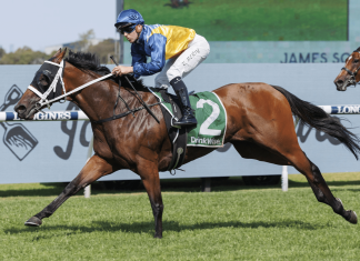 Handy mare Roots heads west to contest the G1 Railway Stakes at Ascot.