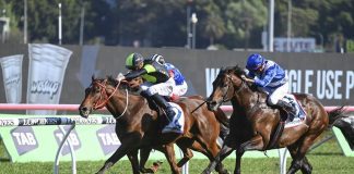 Think About It is poised to post a 10th straight win in the Giga Kick Stakes.