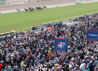 The impressive winning style of Highfield Princess.