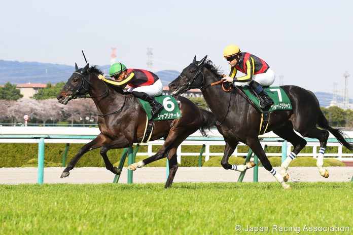 news-23122-sr-2023Vase-JPN-SHAHRYAR Shahryar, a horse with a highly impressive international record.
