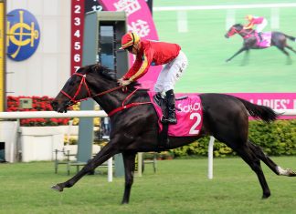Encountered downs Champion Dragon and La City Blanche.