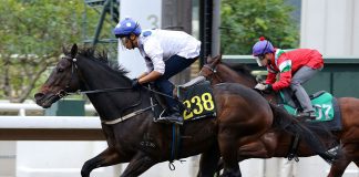 Golden Sixty stretches out at Sha Tin.
