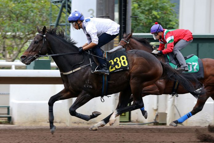 Golden Sixty stretches out at Sha Tin.