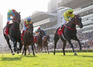 Lucky Sweynesse posts his 14th win.
