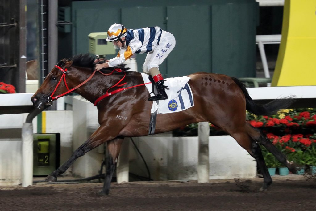 Andrea Atzeni is chasing successive wins on Packing Bole.