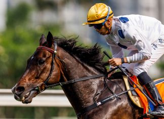 Golden Sixty is one of Hong Kong’s most-famous horses in history.