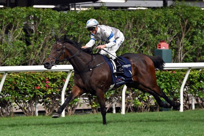 1_20231206 HV R7 DSC_5032 Silver Sonic cruises to victory during the LONGINES International Jockeys’ Championship.