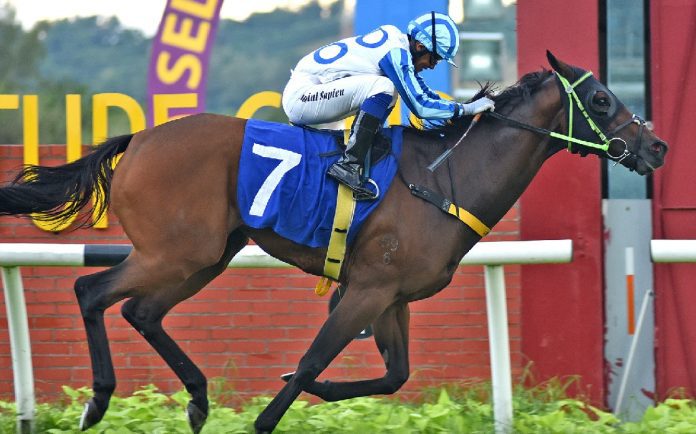 Balin Balin hat-trick bound in KL on Saturday.