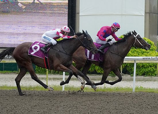 Bestseller-021223 Bestseller (Ronnie Stewart) rattles past Raising Sixty-One (Bruno Queiroz) to take out the Group 3 Colonial Chief Stakes.