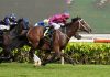 Bestseller will have jockey Ronnie Stewart in the irons in the Group 3 Colonial Chief Stakes this Saturday.