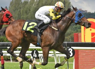 appears set to continue his rich vein of form this season when he lines up in the 1075m Class 3 contest at Kuala Lumpur on Sunday.