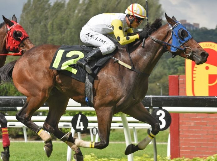 Dabble appears set to continue his rich vein of form this season when he lines up in the 1075m Class 3 contest at Kuala Lumpur on Sunday.