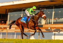 Bouncing Back on the Foreshore