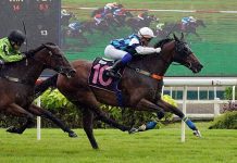 Four for Jamil or Rozlan to knock Seow off throne God's Gift (Jamil Sarwi) seen here at his last win on 30 September.