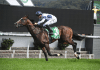 Overpass is favourite to win Saturday's G1 Winterbottom Stakes at Ascot.