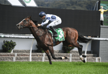 Overpass is favourite to win Saturday's G1 Winterbottom Stakes at Ascot.