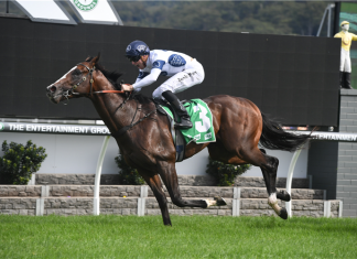 Overpass is favourite to win Saturday's G1 Winterbottom Stakes at Ascot.
