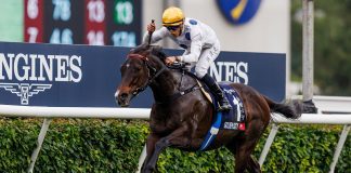 Golden Sixty salutes under jockey Vincent Ho.