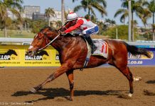 Tobacconist can come home smoking