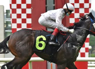 White Hoof Bird is poised for a second-up victory.