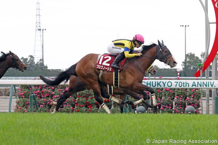 expert_1_2023Cup_JPN_Prognosis-W800 Prognosis is one of the major contenders in the LONGINES Hong Kong Cup.