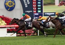Maurice wins the LONGINES Hong Kong Mile for Japan in 2015