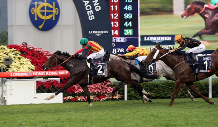 expert_1_Maurice_244561-W800 Maurice wins the LONGINES Hong Kong Mile for Japan in 2015