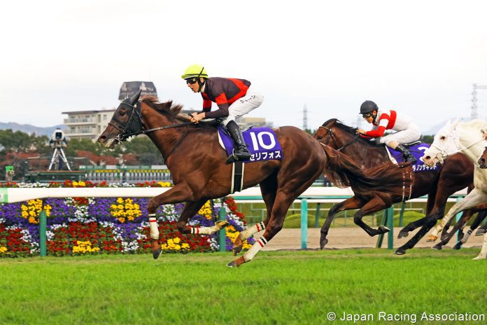 new_2023120200948_1 Serifos, trained by Mitsumasa Nakauchida, is a major contenders in this year’s LONGINES Hong Kong Mile.