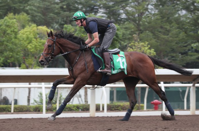 West Wind Blows stretches out at Sha Tin.