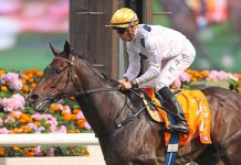 Golden Sixty has drawn barrier 14 in the LONGINES Hong Kong Mile.