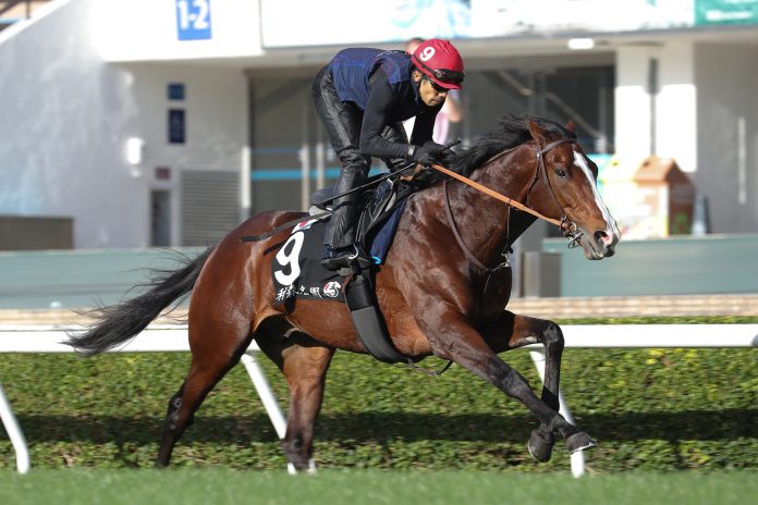 The Hiroyasu Tanaka-trained Rousham Park is one of the major contenders in the G1 LONGINES Hong Kong Cup.