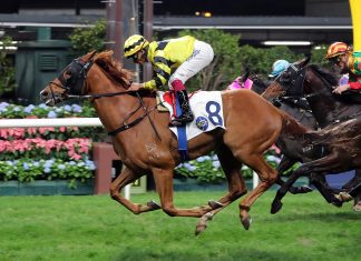 Dragon Star delivers for Pierre Ng and Karis Teetan.