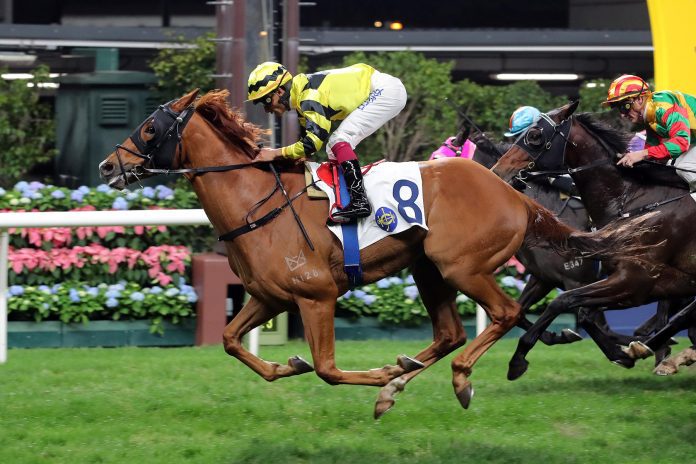 news_2023121302330_01 Dragon Star delivers for Pierre Ng and Karis Teetan.