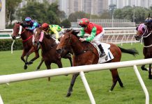 Invincible Sage makes it three in a row.