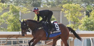 Lim’s Kosciuszko exercises at Sha Tin all-weather track.