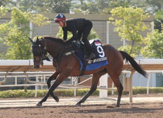 Lim’s Kosciuszko exercises at Sha Tin all-weather track.