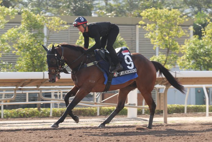 Lim’s Kosciuszko exercises at Sha Tin all-weather track.