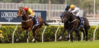 California Spangle upstages Golden Sixty.