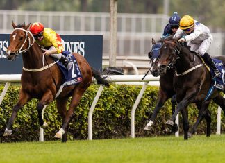 California Spangle upstages Golden Sixty.