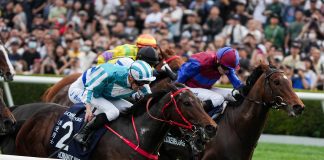 Romantic Warrior fends off Luxembourg.