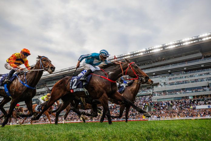 Romantic Warrior is a 12-time winner from 17 starts.