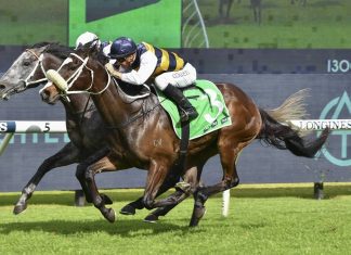 Step Aside is bursting to break through for a second win this preparation.